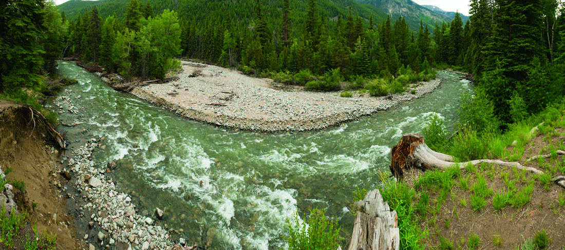 Wild river in Colorado